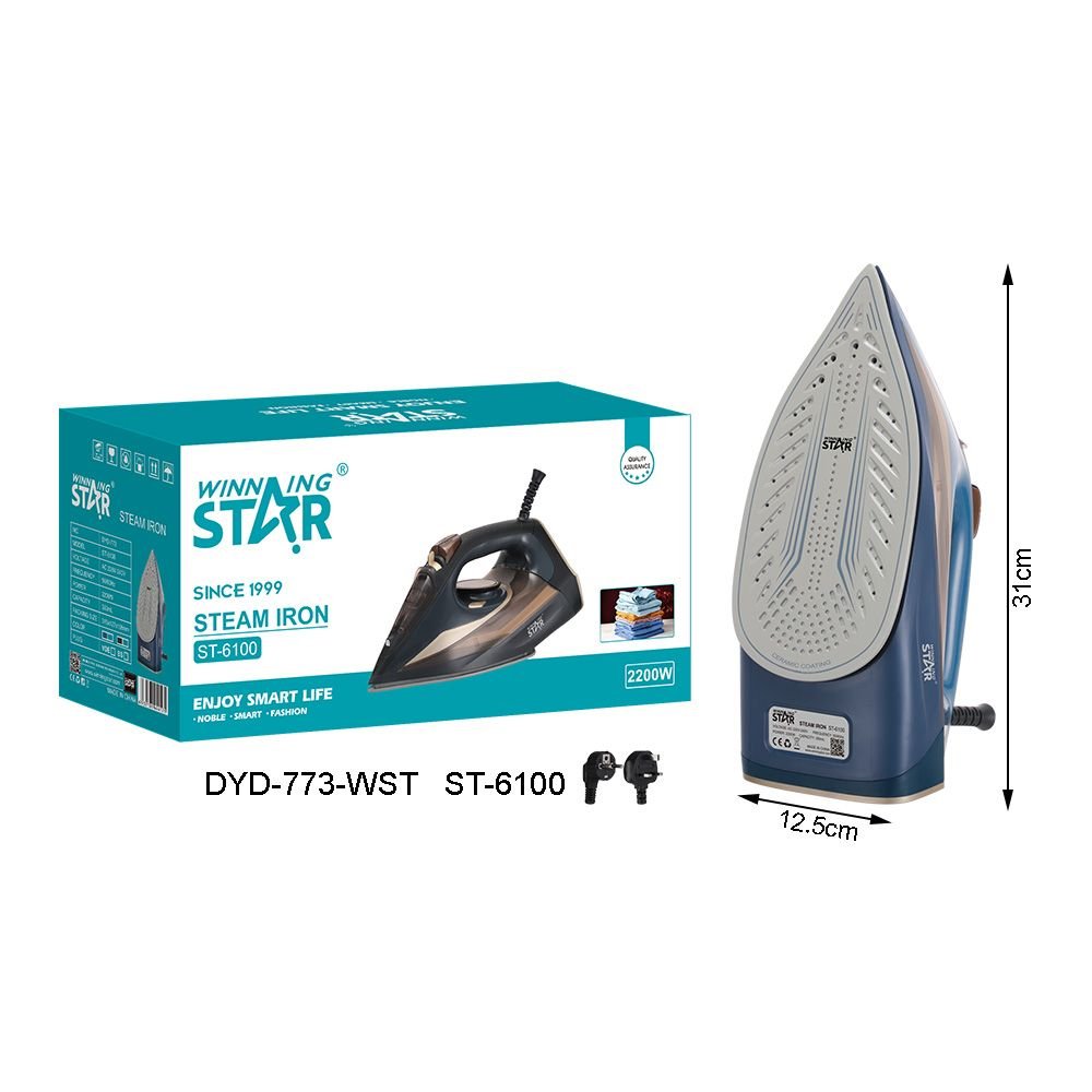 ST-6100 WINNING STAR - Fer à Repasser Électrique Vapeur 2200W pour Usage Domestique