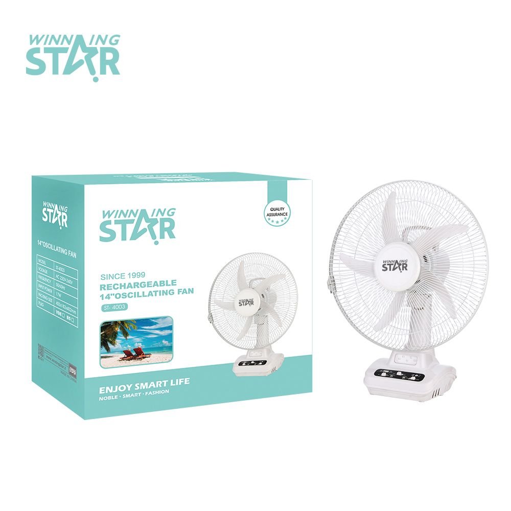 ST-4003 WINNING STAR Ventilateur Rechargeable AC/DC - Vente en Gros
