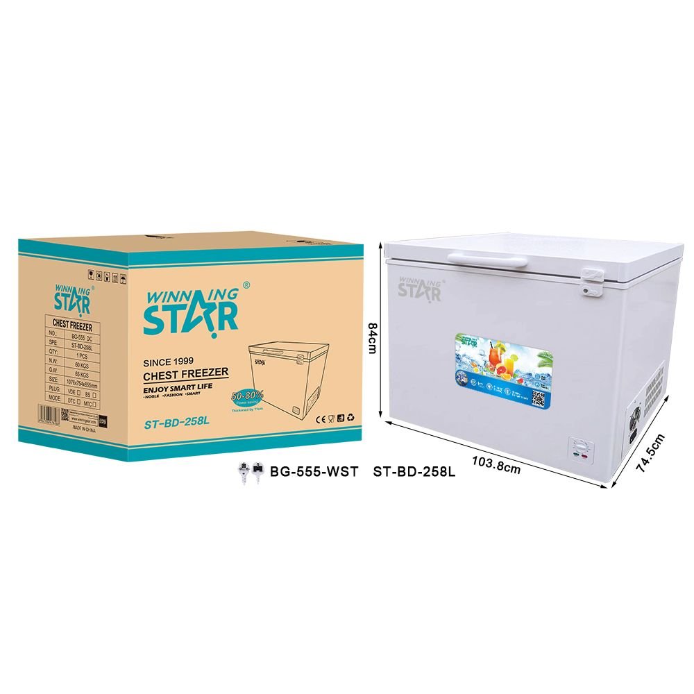Congélateur Coffre ST-BD-258L à Ouverture Supérieure, Refroidissement Direct - 258L