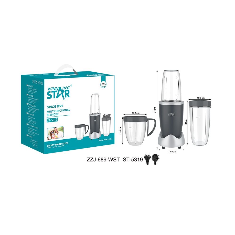 ST-5319 WINNING STAR - Blender Mixeur Multifonction 900W avec Gobelet Portable