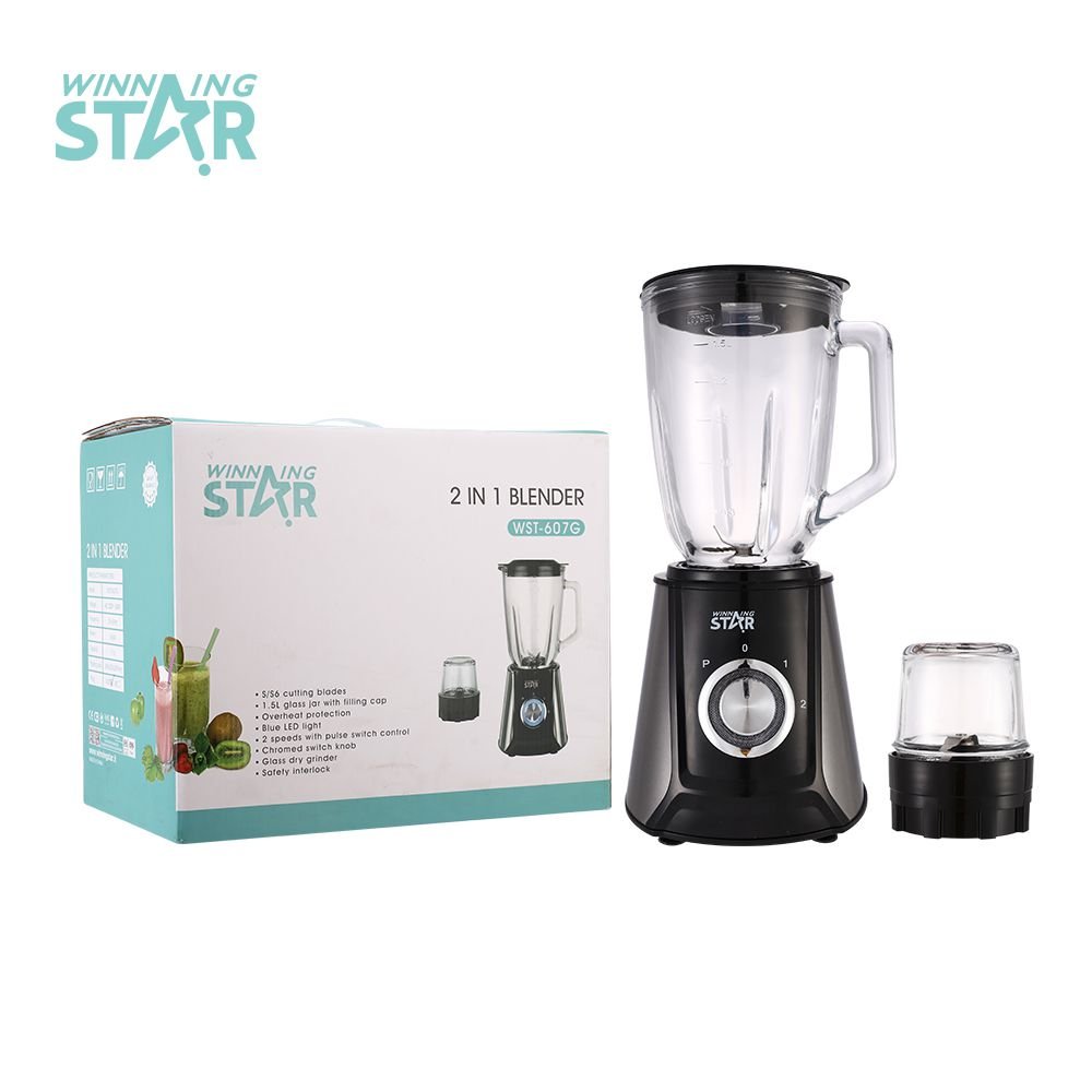 WST-607G Extracteur de Jus Blender en Acier Inoxydable Haute Qualité
