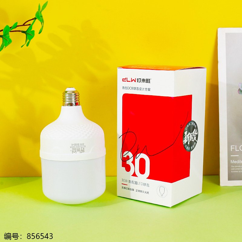 Ampoule LED Laiwang 3830 - 30W - Éclairage économique