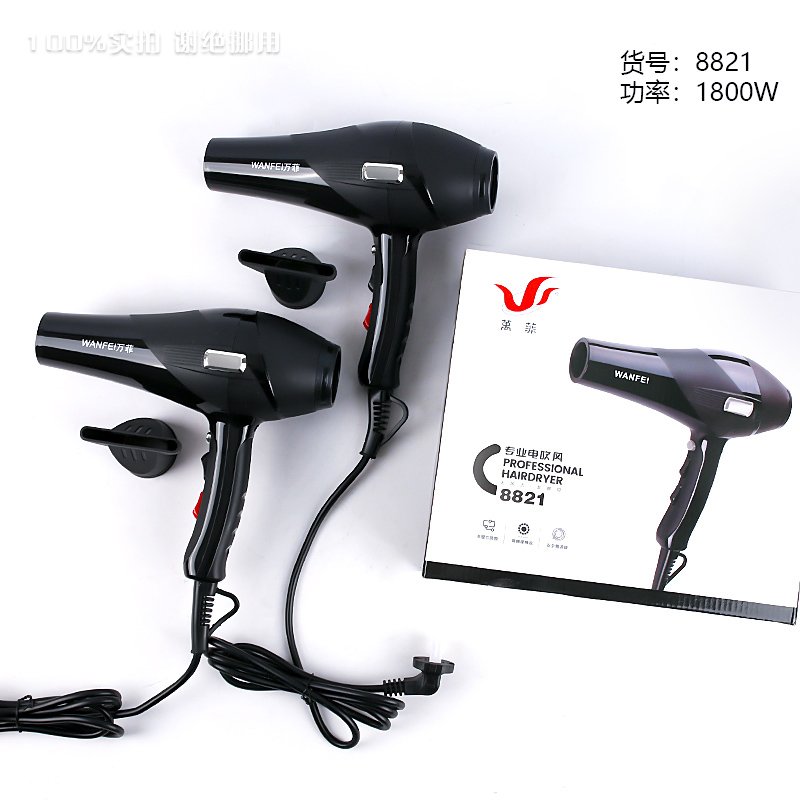 Sèche-cheveux professionnel GB 8821 - Norme de sécurité certifiée