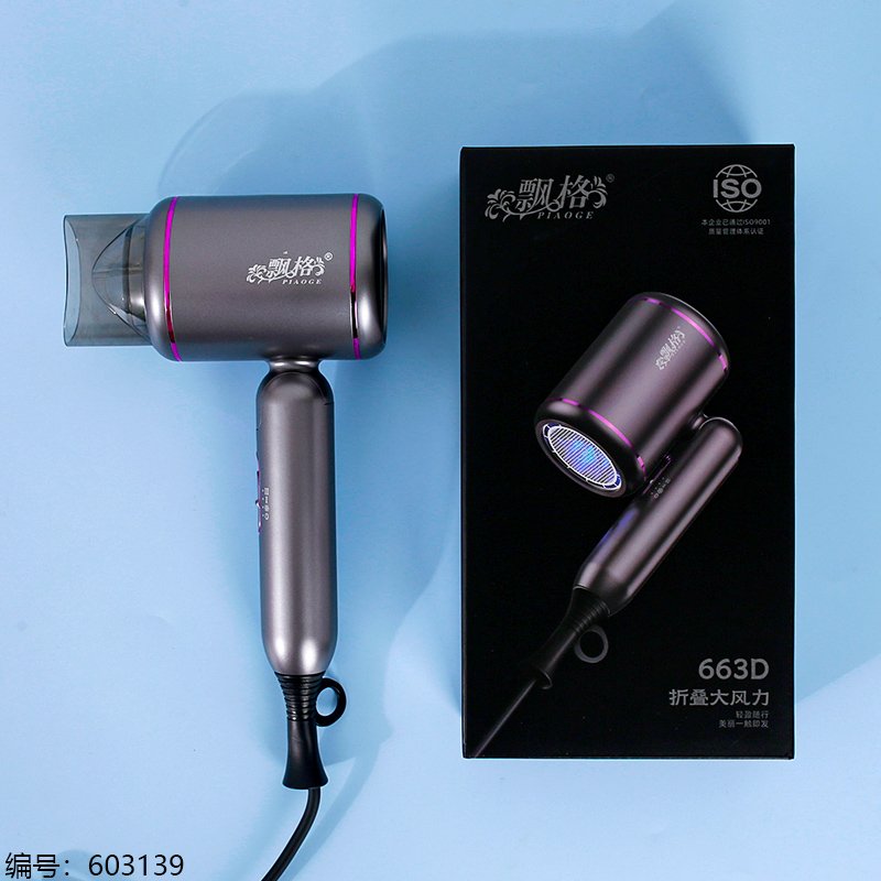 Sèche-cheveux professionnel 1500W avec grille flottante - Violet/Gris (Norme nationale 663D)